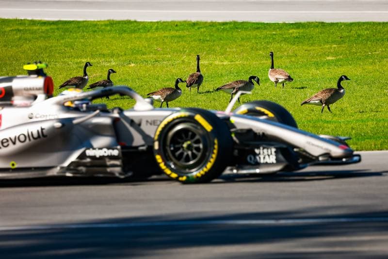 Motorsport. Formula 1. Canadian Grand Prix. 22.05.2026