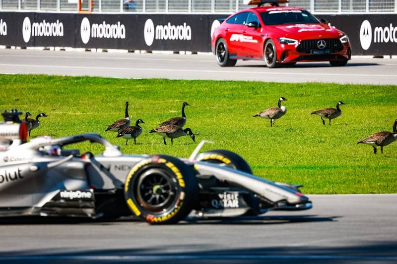 Motorsport. Formula 1. Canadian Grand Prix. 22.05.2026