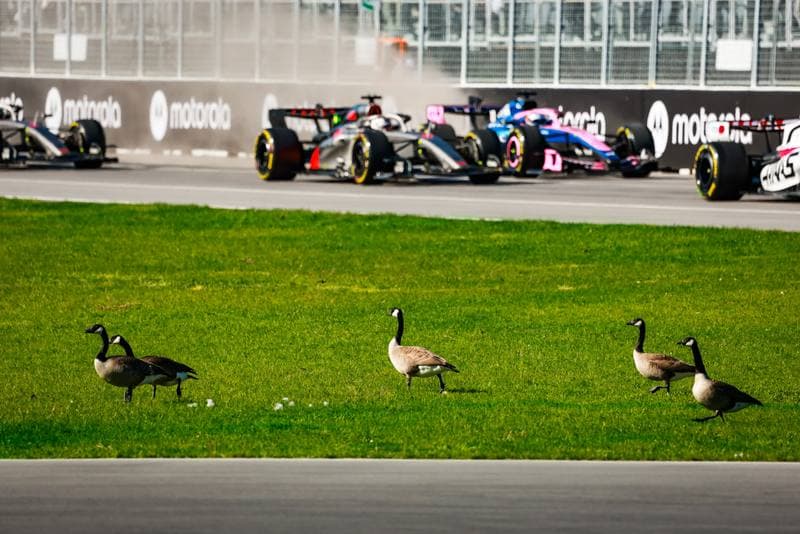 Motorsport. Formula 1. Canadian Grand Prix. 22.05.2026