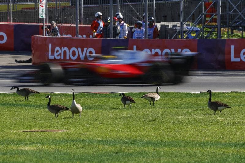 Motorsport. Formula 1. Canadian Grand Prix. 24.05.2026