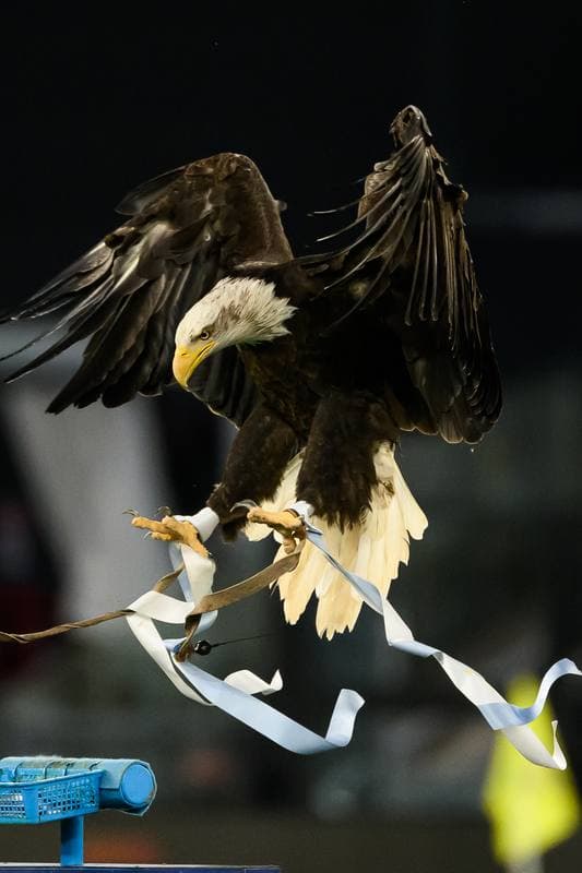 Football. Serie A. SS Lazio - Pisa SC 1909. 23.05.2026