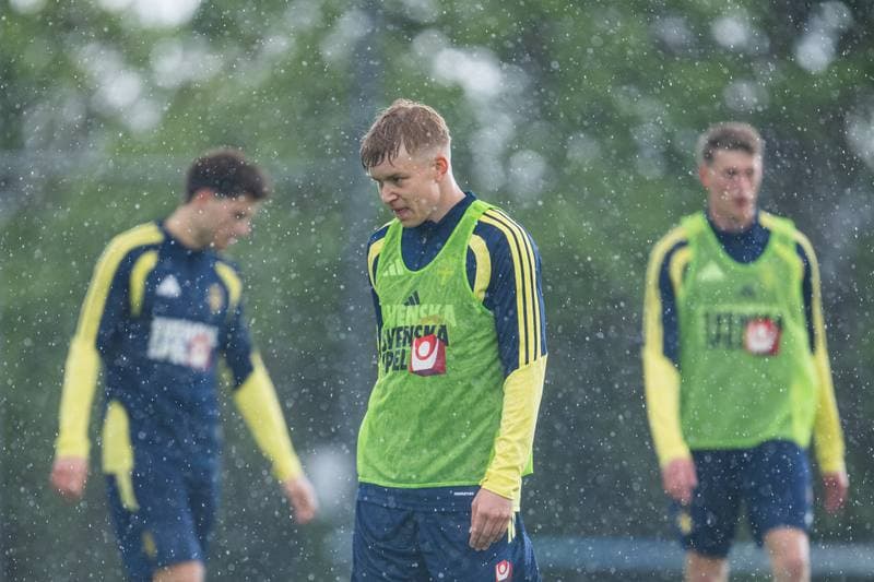 Football. Sweden. Training. 27.05.2026