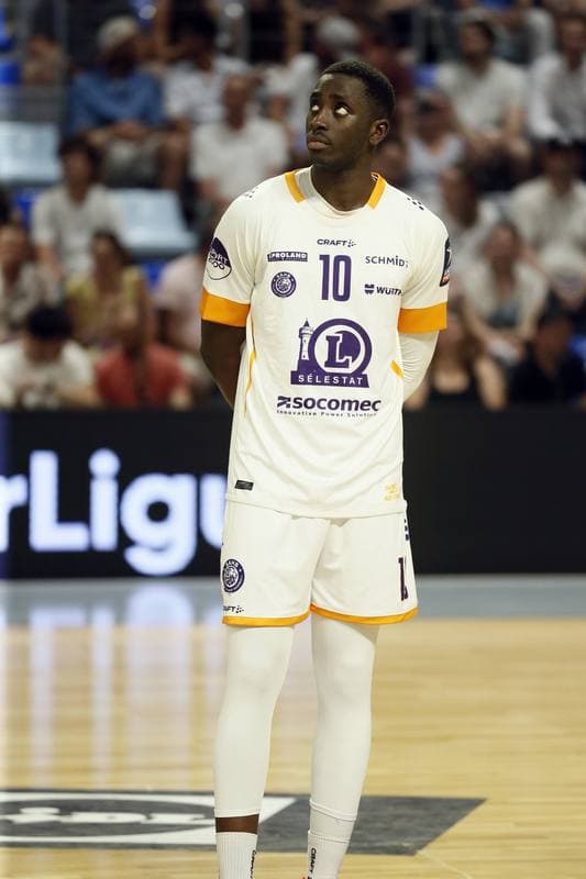 Handball. Liqui Moly Starligue. Cesson Rennes Metropole - Selestat AH. 27.05.2026