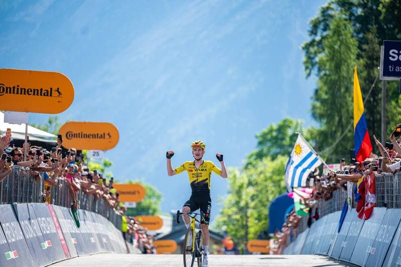 Cycling. Giro d'Italia. Stage 19. 29.05.2026