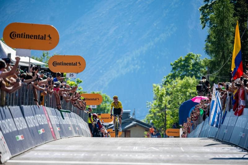 Cycling. Giro d'Italia. Stage 19. 29.05.2026