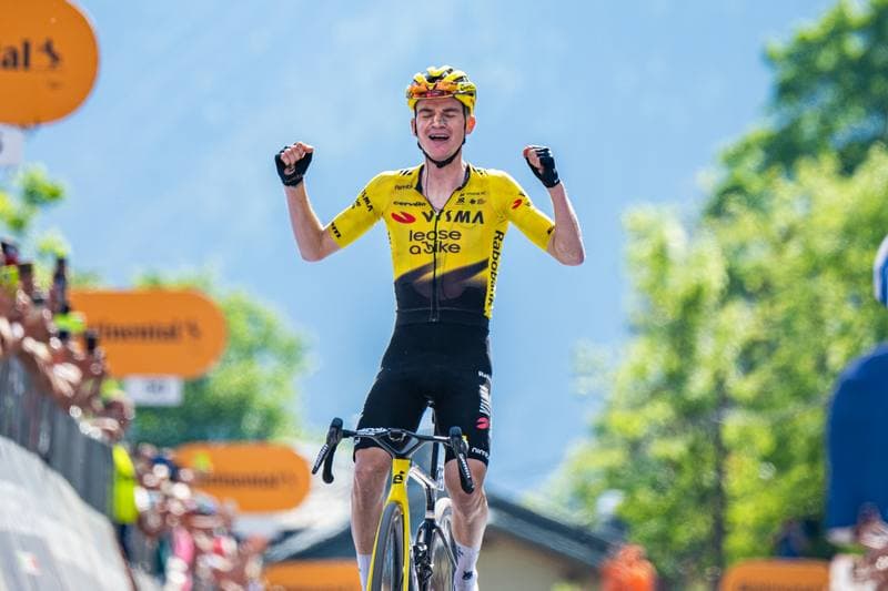 Cycling. Giro d'Italia. Stage 19. 29.05.2026