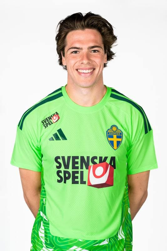 Football. FIFA World Cup 2026. Sweden. Portraits. 29.05.2026