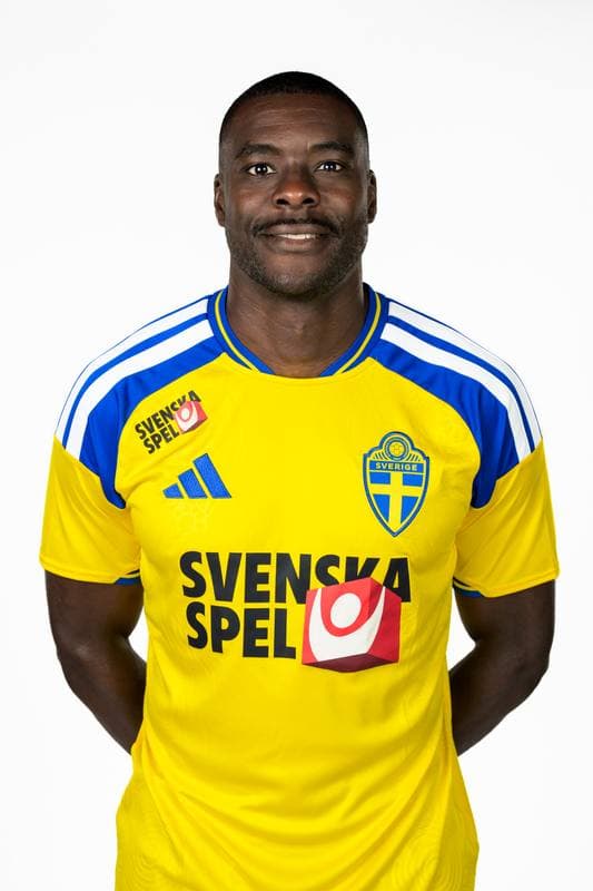 Football. FIFA World Cup 2026. Sweden. Portraits. 29.05.2026