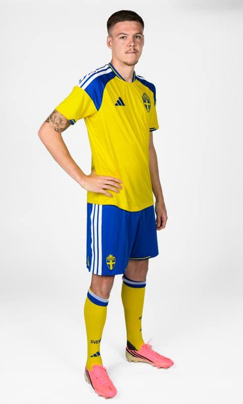 Football. FIFA World Cup 2026. Sweden. Portraits. 29.05.2026