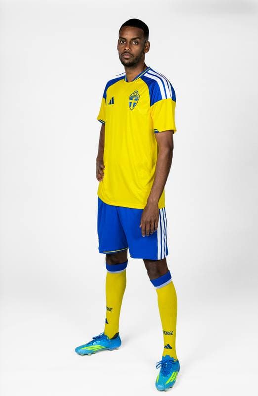 Football. FIFA World Cup 2026. Sweden. Portraits. 29.05.2026