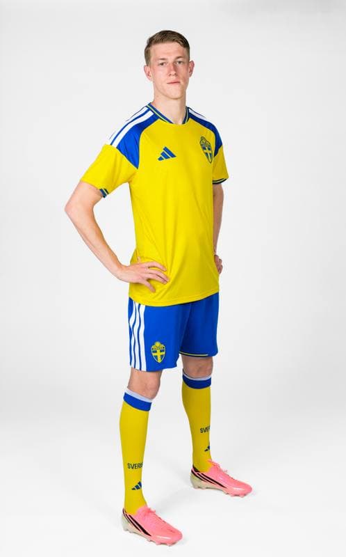 Football. FIFA World Cup 2026. Sweden. Portraits. 29.05.2026