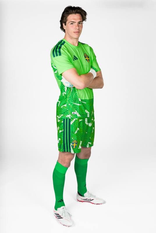 Football. FIFA World Cup 2026. Sweden. Portraits. 29.05.2026