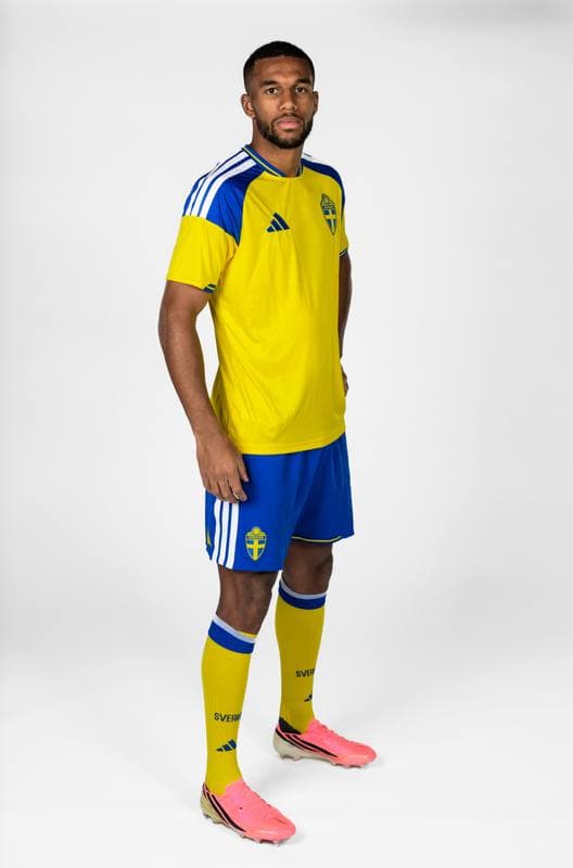 Football. FIFA World Cup 2026. Sweden. Portraits. 29.05.2026