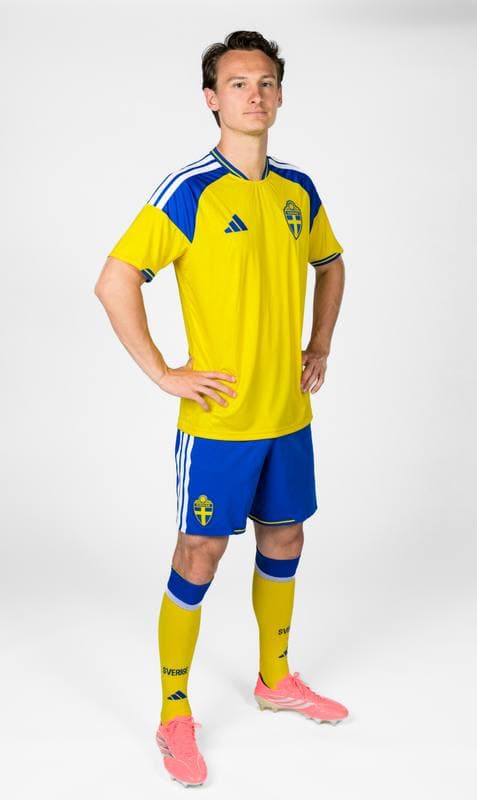 Football. FIFA World Cup 2026. Sweden. Portraits. 29.05.2026