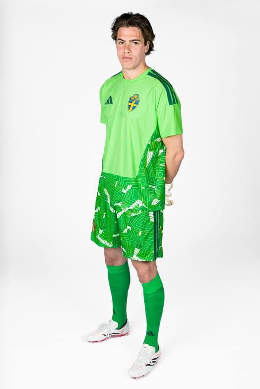 Football. FIFA World Cup 2026. Sweden. Portraits. 29.05.2026