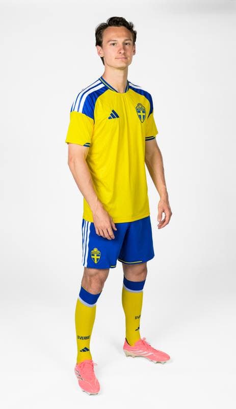 Football. FIFA World Cup 2026. Sweden. Portraits. 29.05.2026