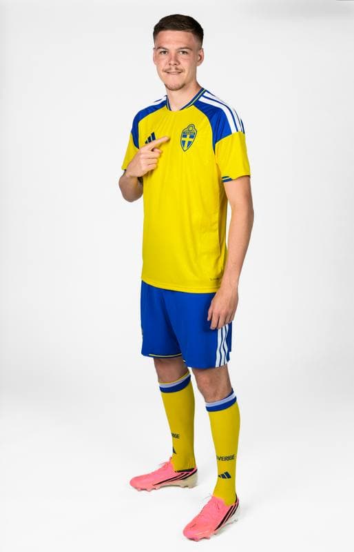 Football. FIFA World Cup 2026. Sweden. Portraits. 29.05.2026