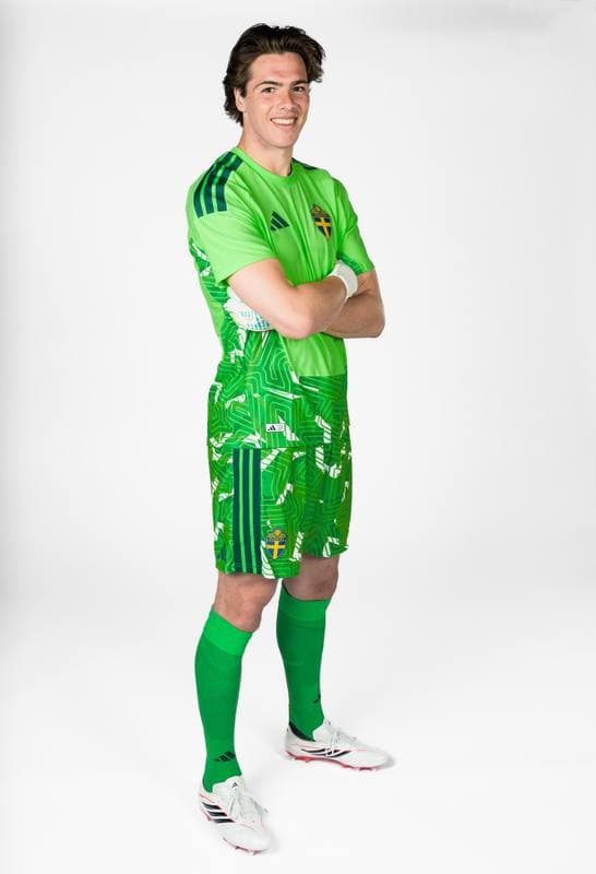 Football. FIFA World Cup 2026. Sweden. Portraits. 29.05.2026