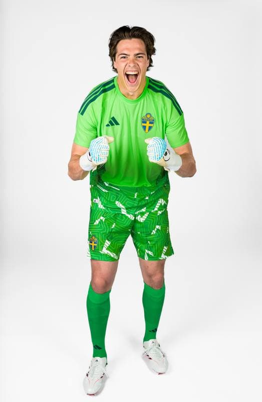 Football. FIFA World Cup 2026. Sweden. Portraits. 29.05.2026