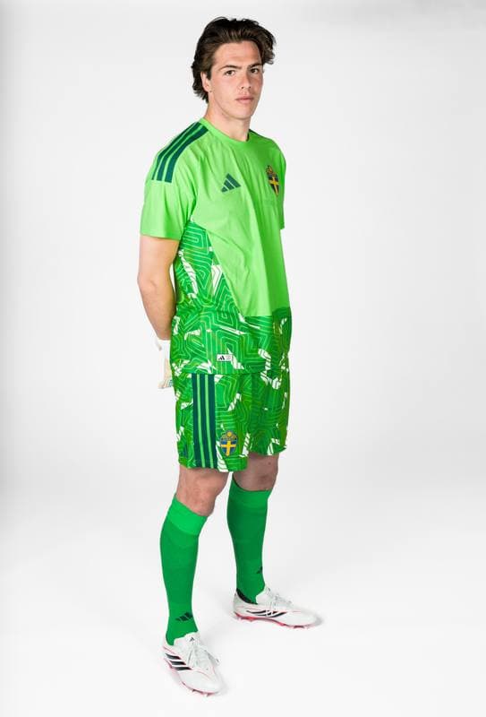 Football. FIFA World Cup 2026. Sweden. Portraits. 29.05.2026