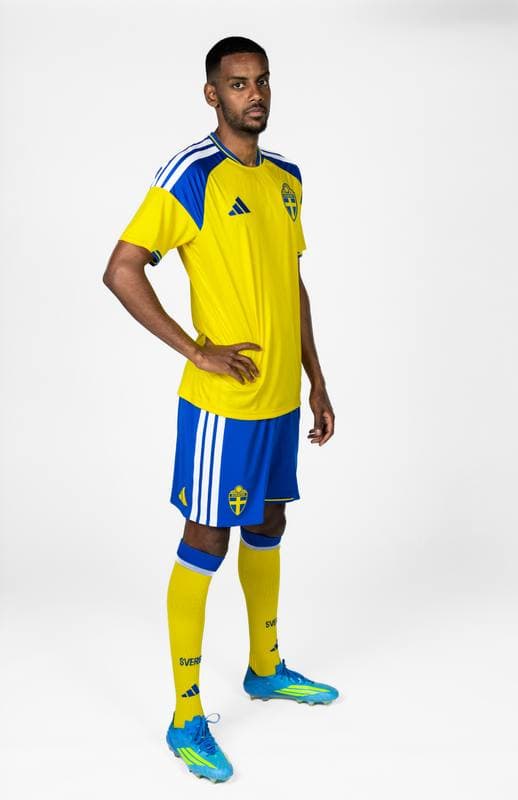 Football. FIFA World Cup 2026. Sweden. Portraits. 29.05.2026