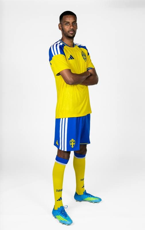 Football. FIFA World Cup 2026. Sweden. Portraits. 29.05.2026