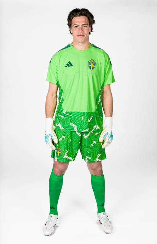Football. FIFA World Cup 2026. Sweden. Portraits. 29.05.2026