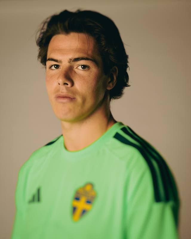 Football. FIFA World Cup 2026. Sweden. Portraits. 29.05.2026
