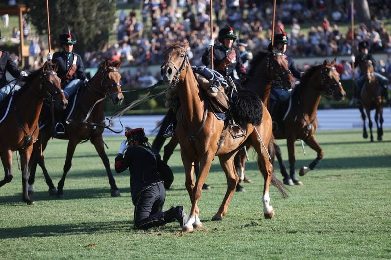 Show Jumping. 93A CSIO di Roma. Competition n. 5 - Nations Cup Intesa Sanpaolo. 29.05.2026