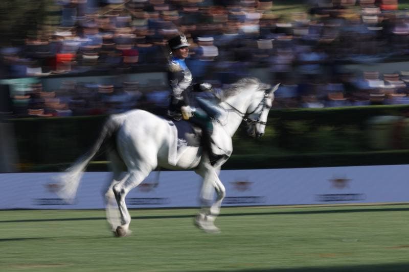 Show Jumping. 93A CSIO di Roma. Competition n. 5 - Nations Cup Intesa Sanpaolo. 29.05.2026