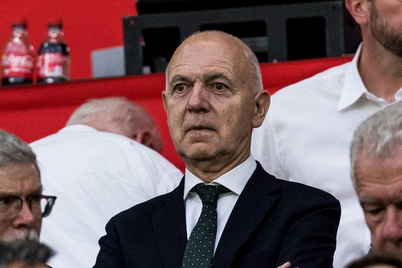 Football. International Friendly. Germany - Finland. 31.05.2026