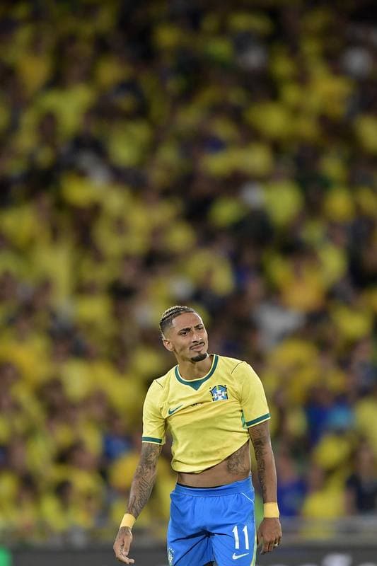 Football. International Friendly. Brazil - Panama. 31.05.2026