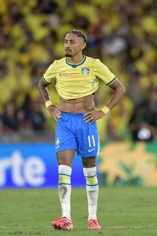 Football. International Friendly. Brazil - Panama. 31.05.2026