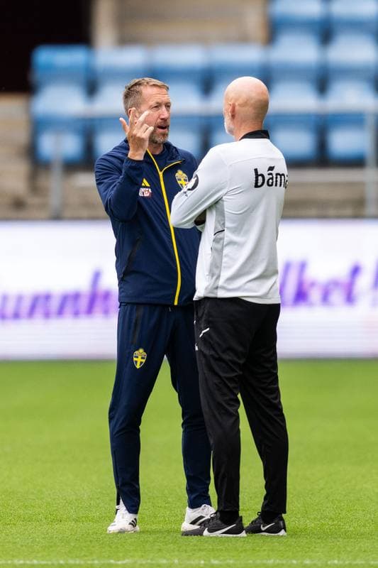 Football. International Friendly. Norway - Sweden. 01.06.2026