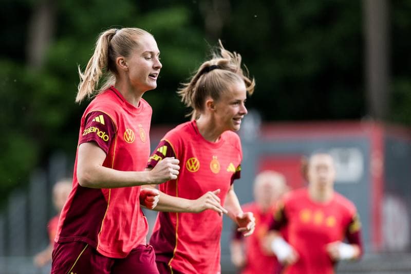 Football. Germany. Training. 01.06.2026