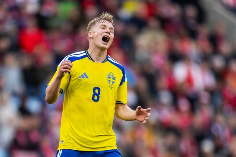 Football. International Friendly. Norway - Sweden. 01.06.2026
