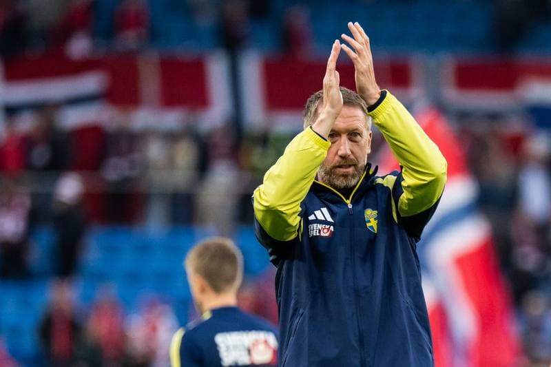 Football. International Friendly. Norway - Sweden. 01.06.2026