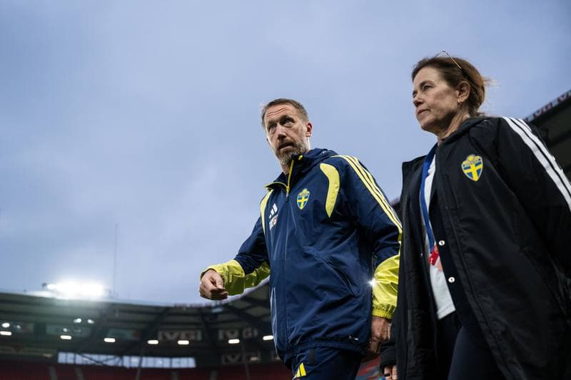 Football. International Friendly. Norway - Sweden. 01.06.2026
