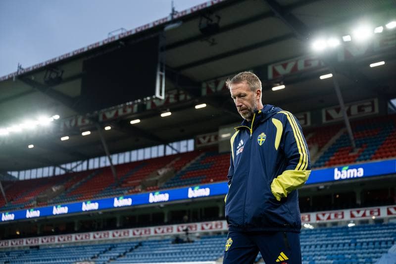 Football. International Friendly. Norway - Sweden. 01.06.2026