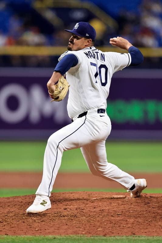 Baseball. MLB. Detroit Tigers - Tampa Bay Rays. 01.06.2026