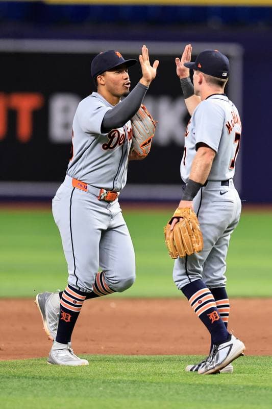 Baseball. MLB. Detroit Tigers - Tampa Bay Rays. 01.06.2026