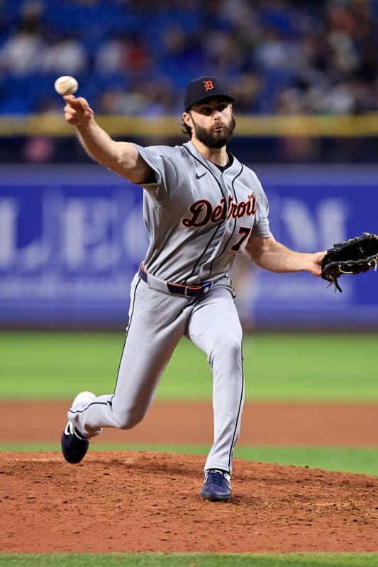 Baseball. MLB. Detroit Tigers - Tampa Bay Rays. 01.06.2026
