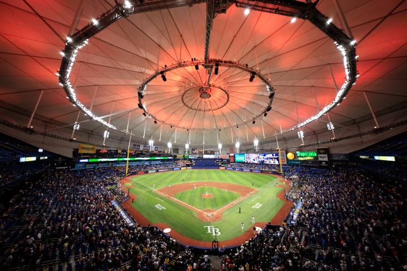 Baseball. MLB. Detroit Tigers - Tampa Bay Rays. 01.06.2026