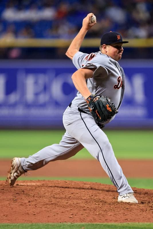 Baseball. MLB. Detroit Tigers - Tampa Bay Rays. 01.06.2026