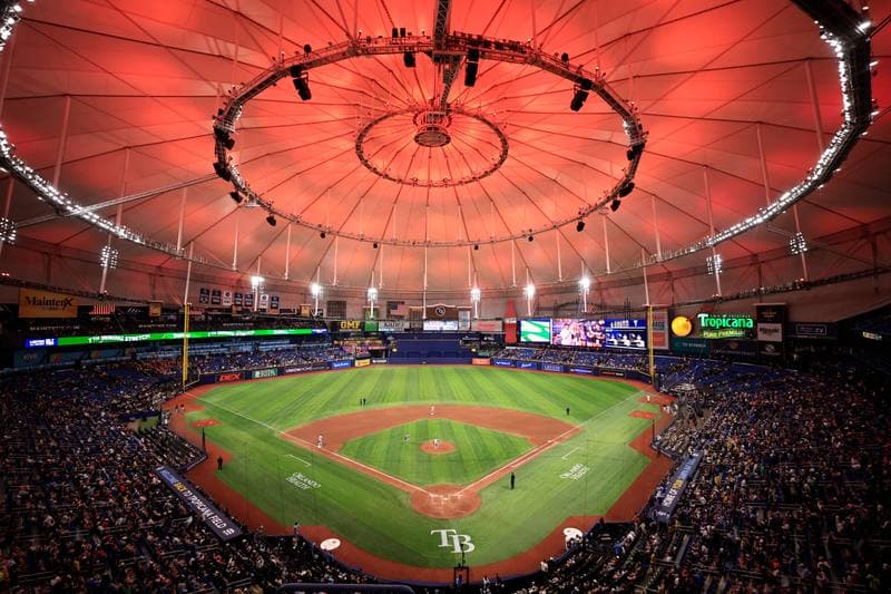 Baseball. MLB. Detroit Tigers - Tampa Bay Rays. 01.06.2026