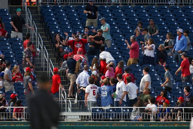 Baseball. MLB. Miami Marlins - Washington Nationals. 01.06.2026