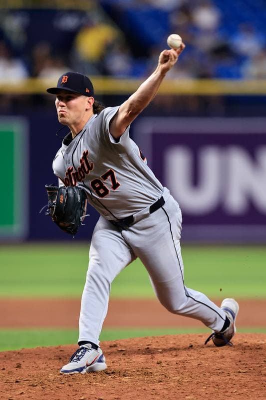 Baseball. MLB. Detroit Tigers - Tampa Bay Rays. 01.06.2026