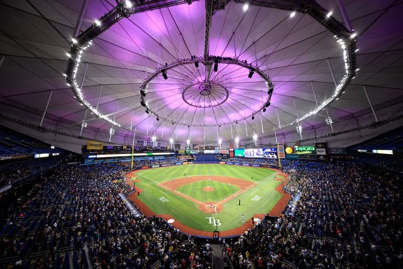 Baseball. MLB. Detroit Tigers - Tampa Bay Rays. 01.06.2026