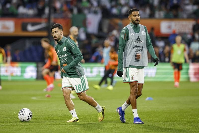 Football. International Friendly. Netherlands - Algeria. 03.06.2026