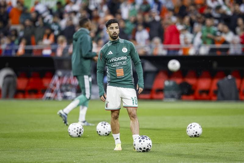 Football. International Friendly. Netherlands - Algeria. 03.06.2026